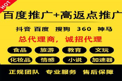 专业竞价SEM托管成功案例解析